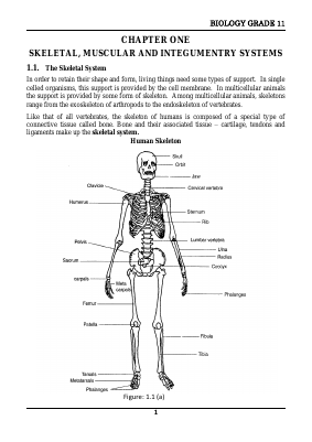 Biology Form 3 (Last revised) (1).pdf